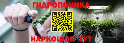 дживик Ставрополь