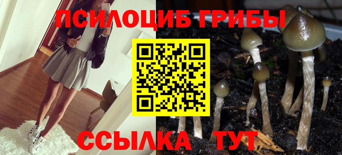 ЭКСТАЗИ  Нижний Тагил  КЕТАМИН  Купить наркотики  COCAIN  Бошки Шишки  ГЕРОИН  Вход с VPN  МАРИХУАНА  Меф   Мефедрон  ГАШИШ  ГАШ 
