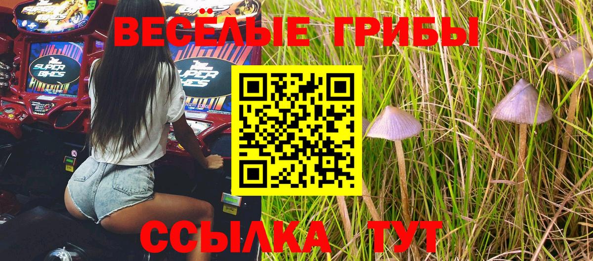 Псилоцибиновые грибы GOLDEN TEACHER  Вход с VPN  Нижний Тагил 